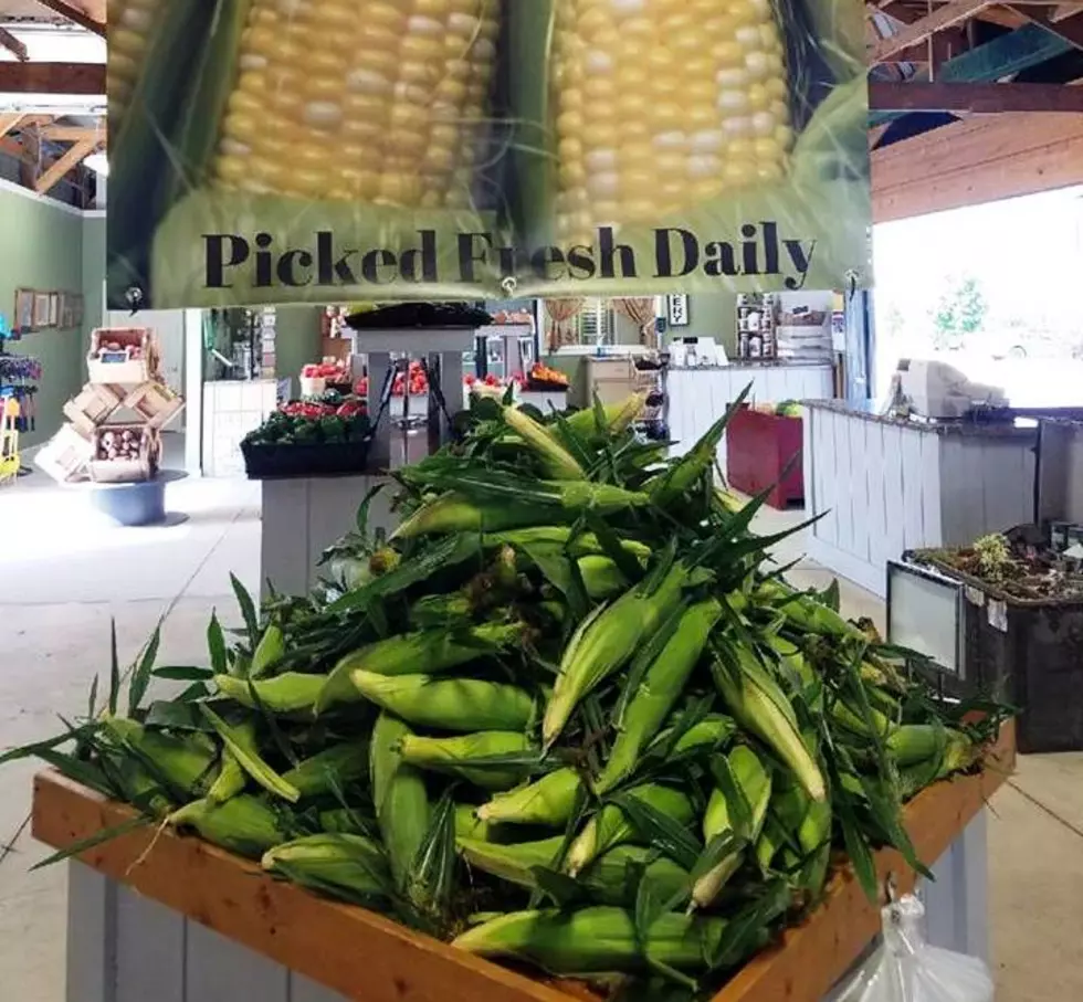 2018 Top 15 Places to Get Sweet Corn In Northern Illinois