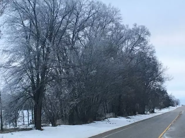 Big Illinois Weather Change Results In Icy Destruction