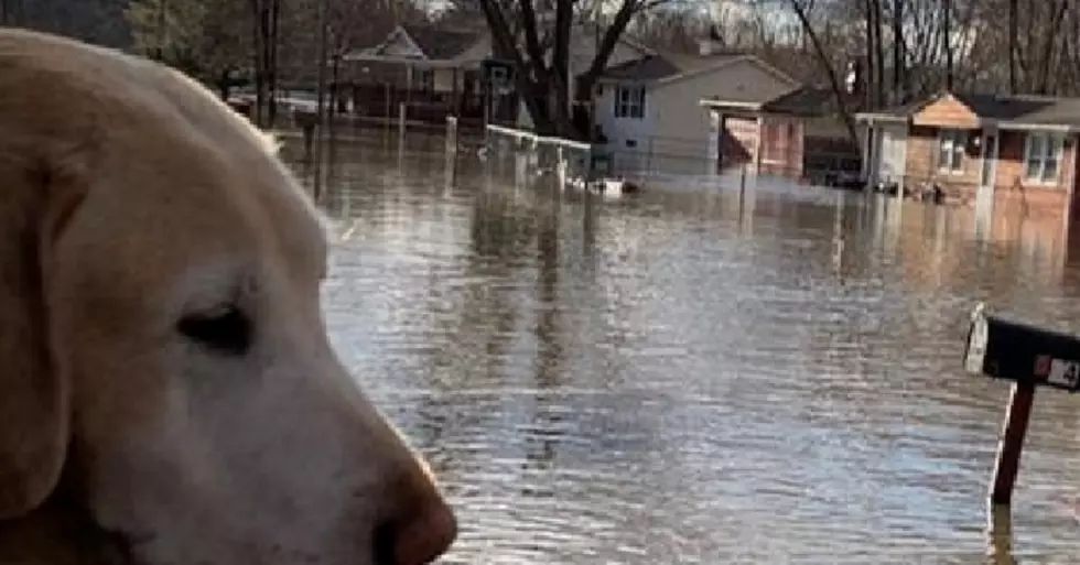 Rockford Men Capture Devastating Flooding On Video