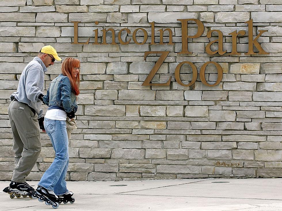 Chicago’s Lincoln Park Zoo To Keep Free Admission Until 2050