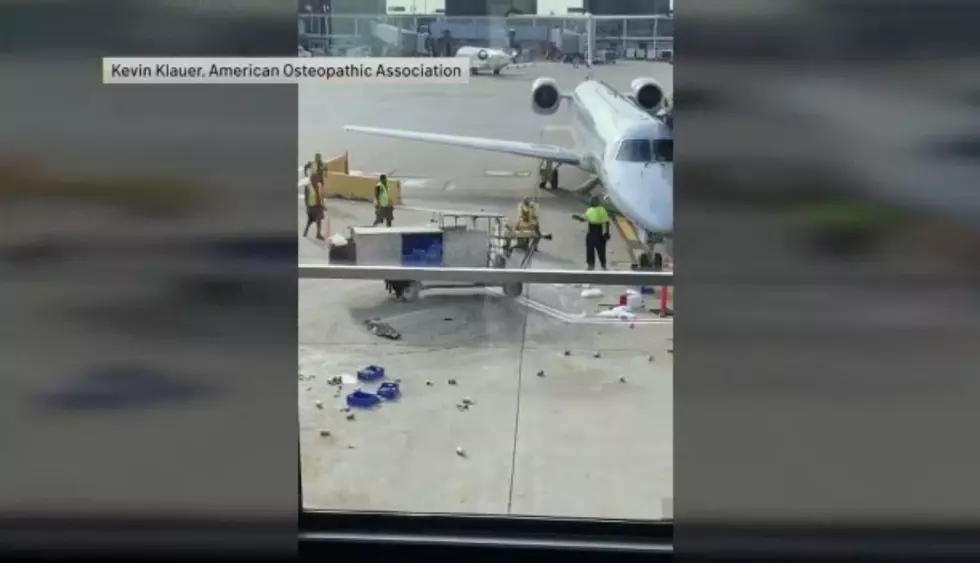 Viral Video of Out-of-Control Catering Cart at O&#8217;Hare Airport