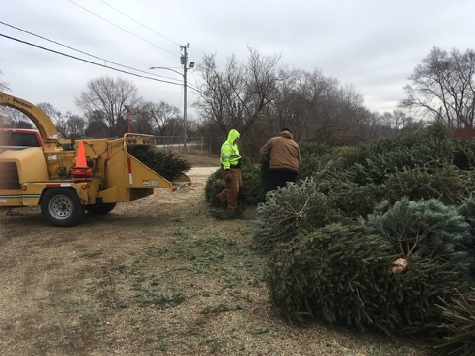13 Christmas Tree Drop-Off & Mulch Pickup Spots Announced