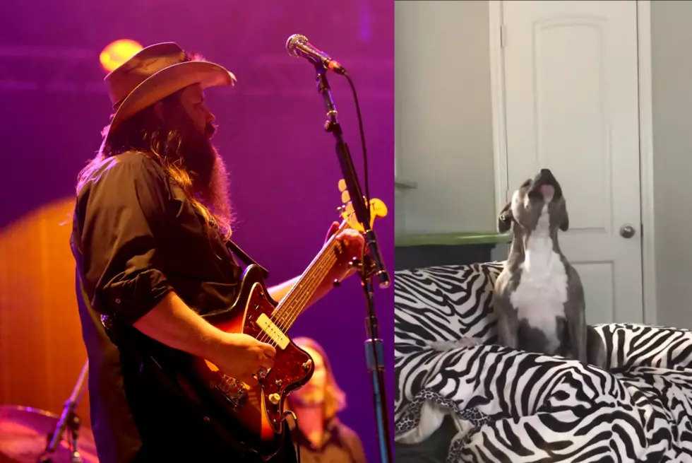 Chris Stapleton Is Coming To Chicago &#038; There&#8217;s a Dog That Can Sing &#8216;Tennessee Whiskey&#8217;