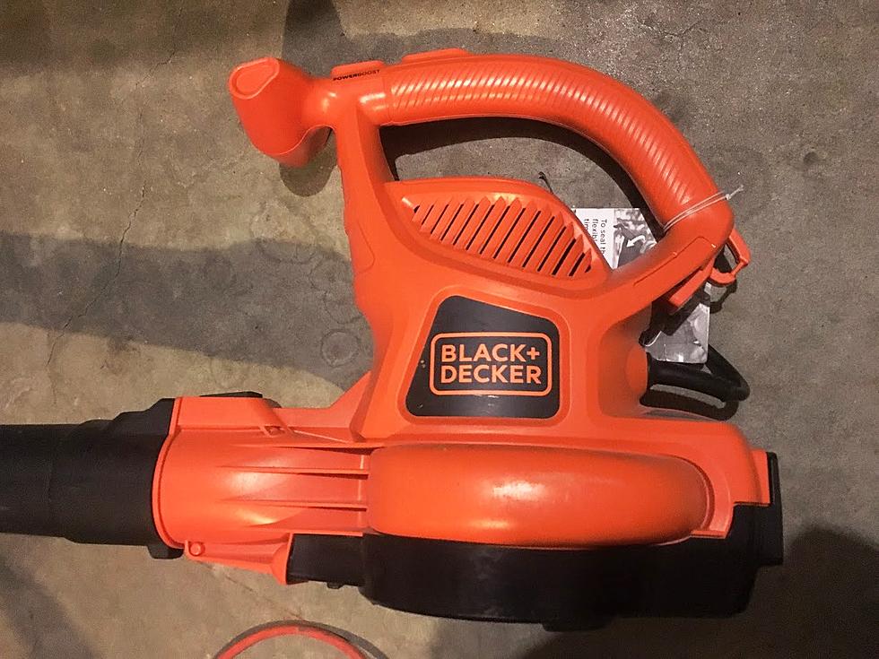 New Law Proposed to Ban Gas Powered Leaf Blowers In Illinois
