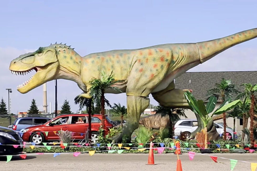 New Drive-thru Dinosaur Park Will Be 90 minutes from Rockford