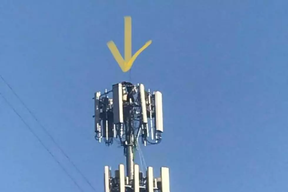 How Much Do People Get Paid To Climb Cell Towers Around Rockford?