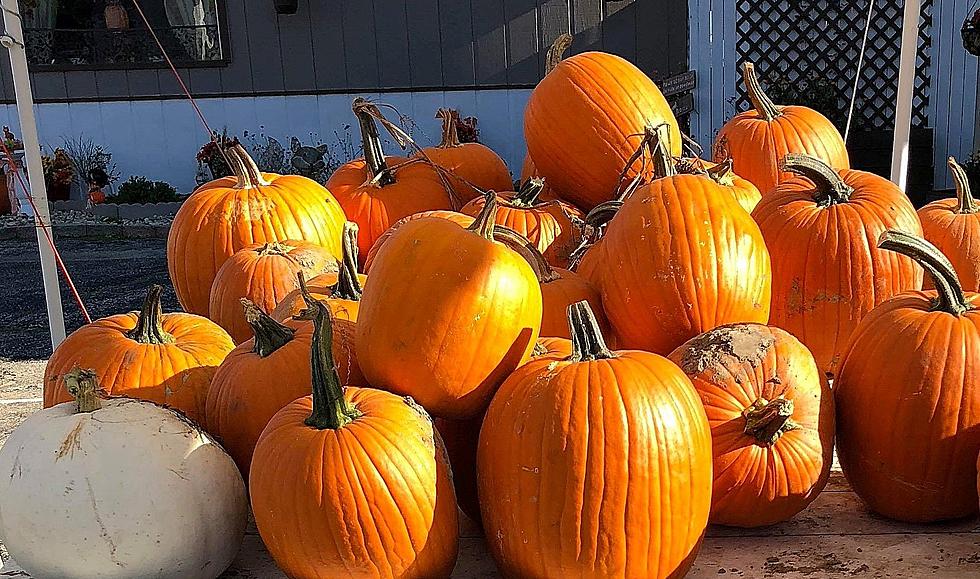 Relieve 2020 Frustrations at Discovery Center’s ‘Smashing Pumpkins’