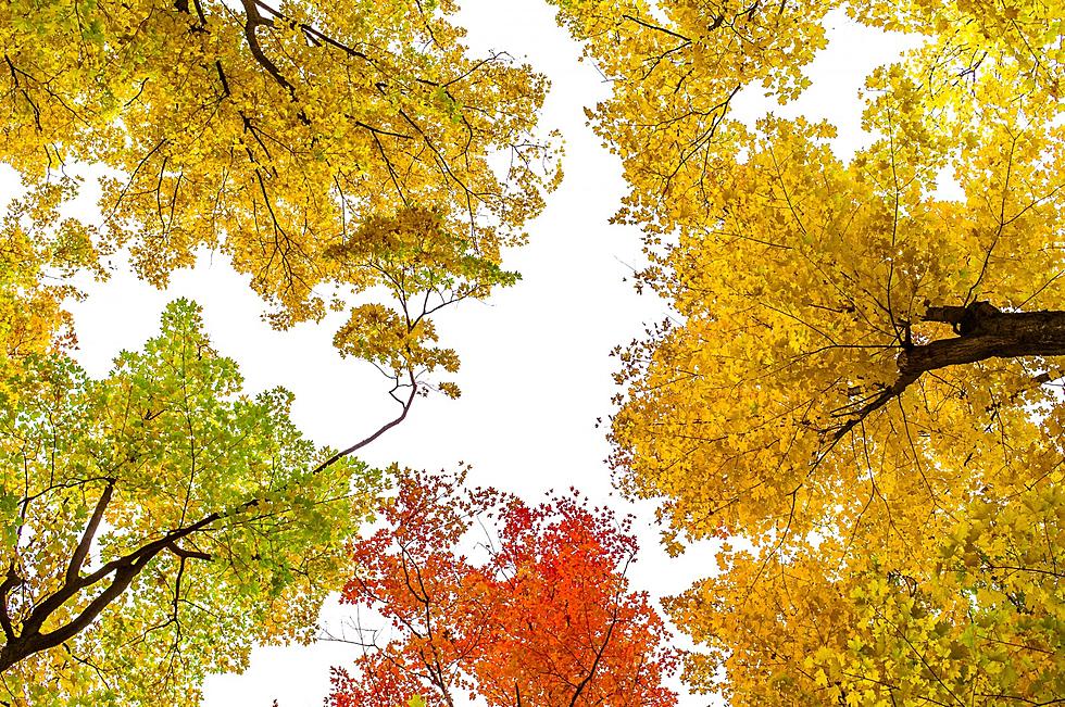 Eight Wisconsin Hikes That Will Immerse You In the Beauty of Fall