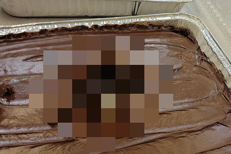 Illinois Police On the Lookout For Savage Responsible For Viciously Attacking A Cake