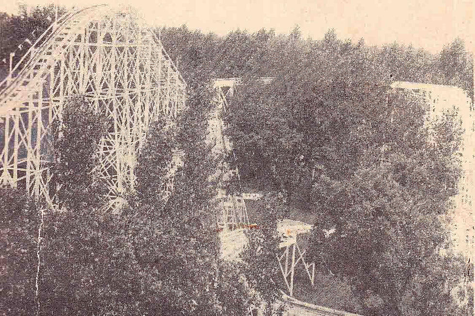 Did You Know About This Long-Forgotten Amusement Park in Illinois?