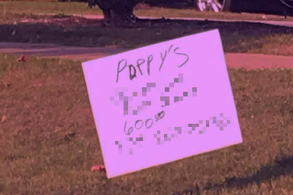 Cringe-Worthy Grammatical Error Spotted on ‘Puppies For Sale’ Sign in Illinois