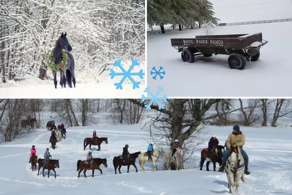 One Popular Illinois Ranch Offers Horseback Rides You Won’t Want to Miss This Winter
