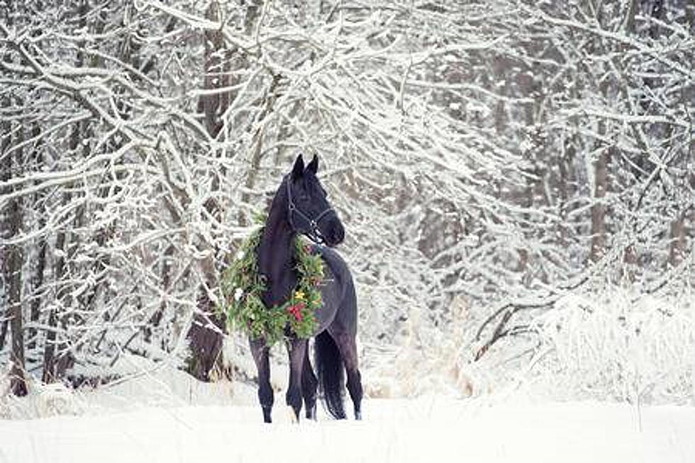 Unforgettable Winter Fun, Like Horseback Riding and Frozen Waterfalls, Awaits in Illinois