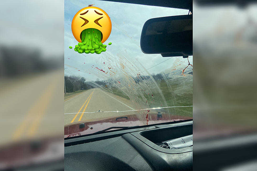 Bombs Away! What Did An Eagle Drop On An Illinois Woman’s Car?