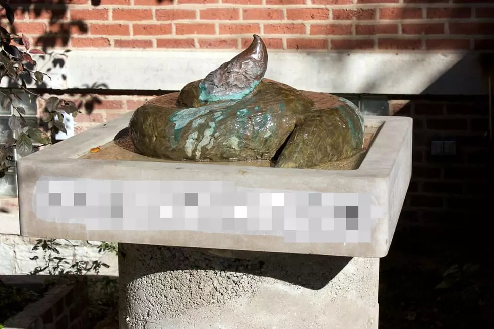 An Illinois Man Made A Feces Fountain And, Yes, There's A Reason
