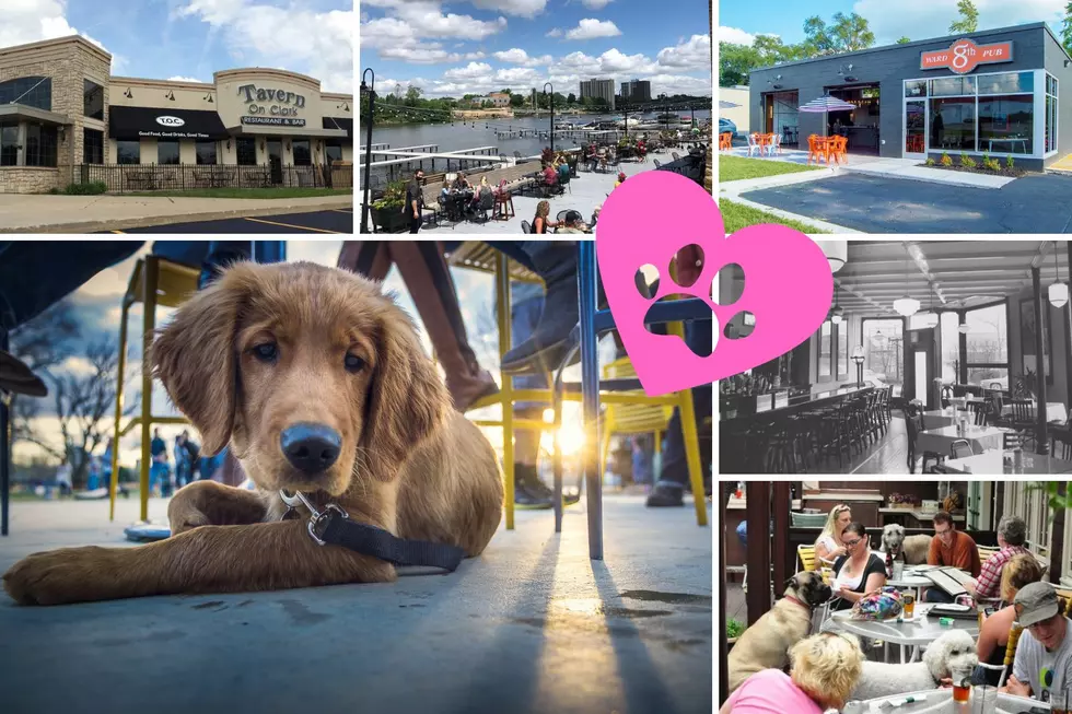 5 of the Best Dog-Friendly Restaurants in Rockford