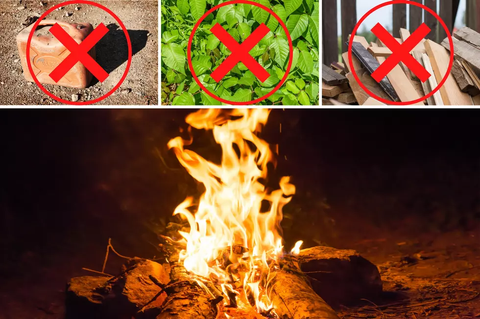7 Things Illinois Residents Need To Stop Setting In Their Fire Pits