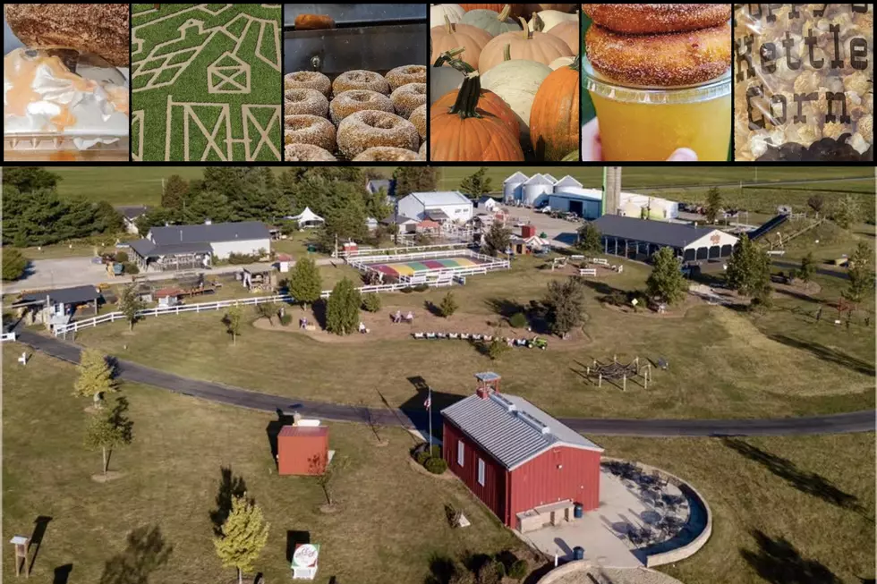 Hidden Illinois Farm Serves Up Anything But Boring Apple Treats