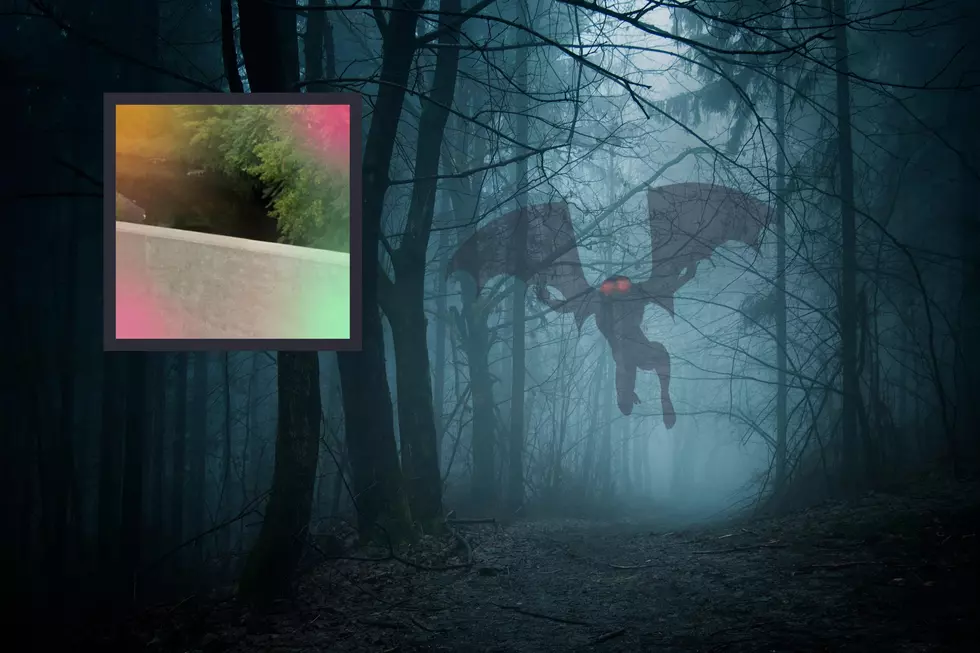 IL Woman Spots Bat-Winged Humanoid And UFO On The Same Night