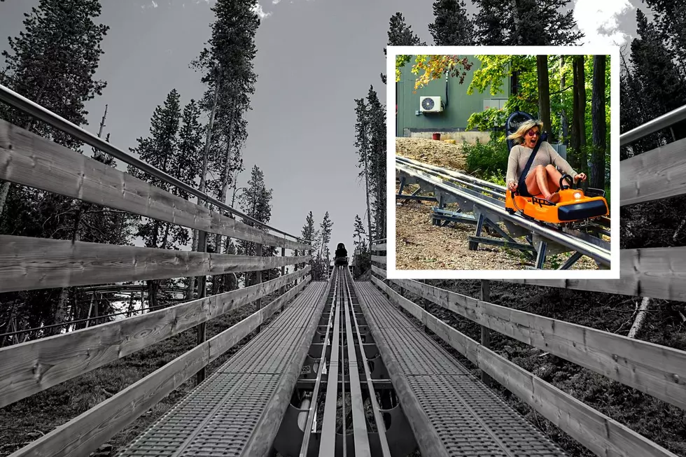 The First Alpine Coaster in Illinois Is Now Open For Your Riding Delight