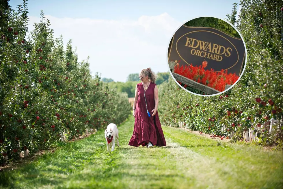 One of Illinois’ Best Apple Orchards Gains National Attention From Famous Actress