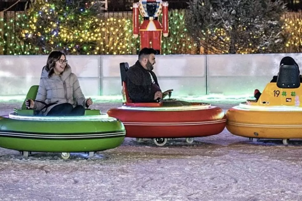 Ever Heard Of Bumper Cars On Ice? They're Coming Back To Illinois