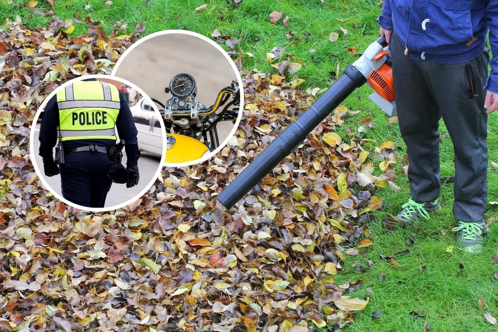 Is Raking, Blowing, or Dumping Your Leaves On Illinois Streets Illegal?