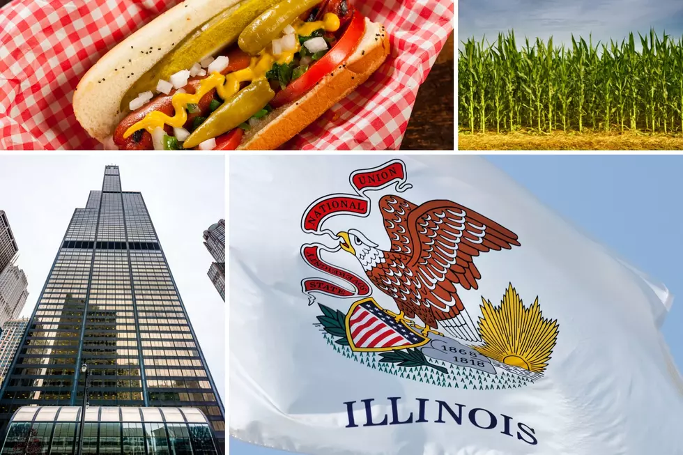 17 Things Only True Illinoisans Will Understand