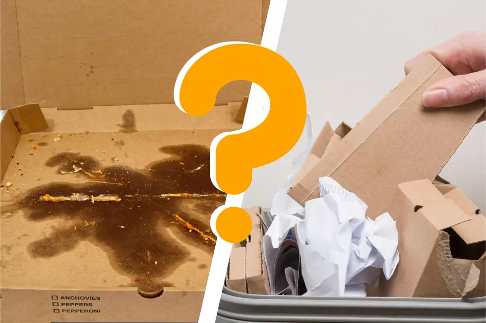 Why You Need To Think Twice Before Recycling Pizza Boxes In IL