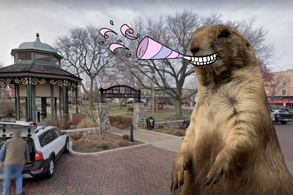 Illinois Town Has 'Groundhog Day' Event at Famous Movie Location