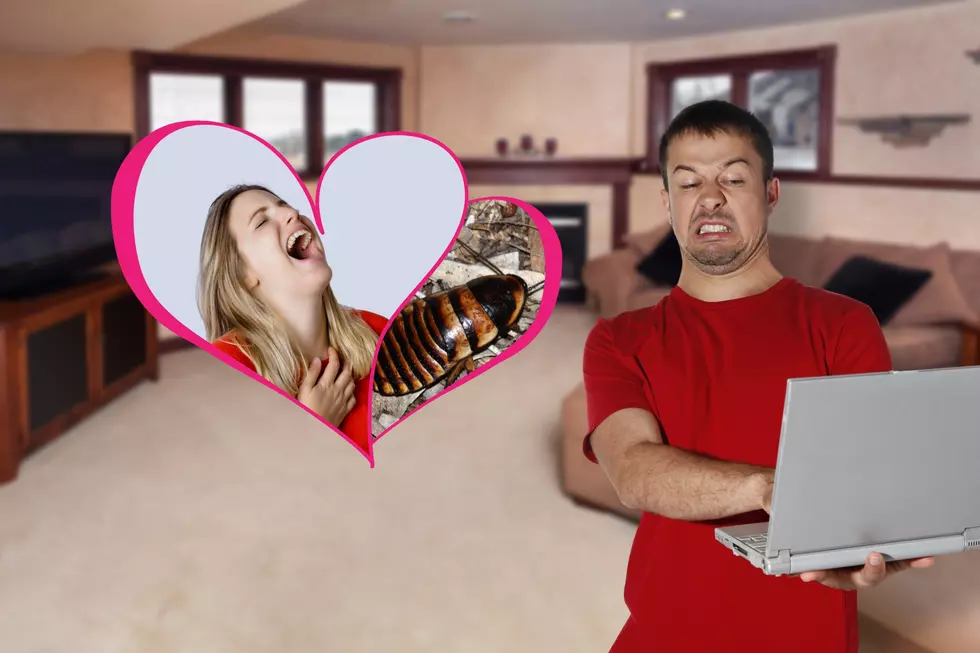 Illinois Zoo Helps Get Revenge on Your Ex in the Most Hilarious Way Possible