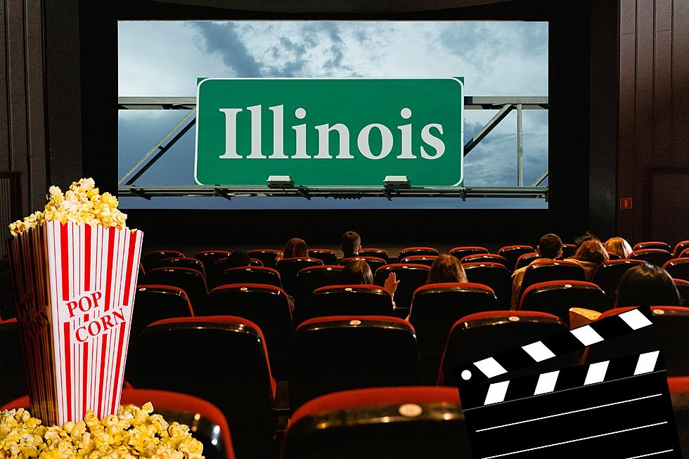 Experts Say This Movie Best Represents Illinois, Are They Wrong?
