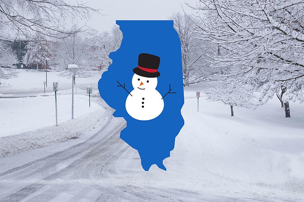 Winter Storm May Dump 8+ Inches of Snow on Illinois This Weekend