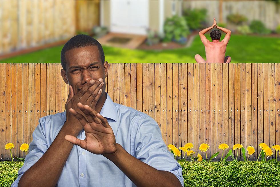 It Is Legal To Be Naked In Your Own Backyard In Illinois?