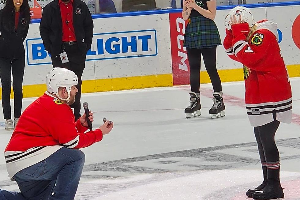 Illinois Hockey Fans Go Wild After On-Ice Marriage Proposal