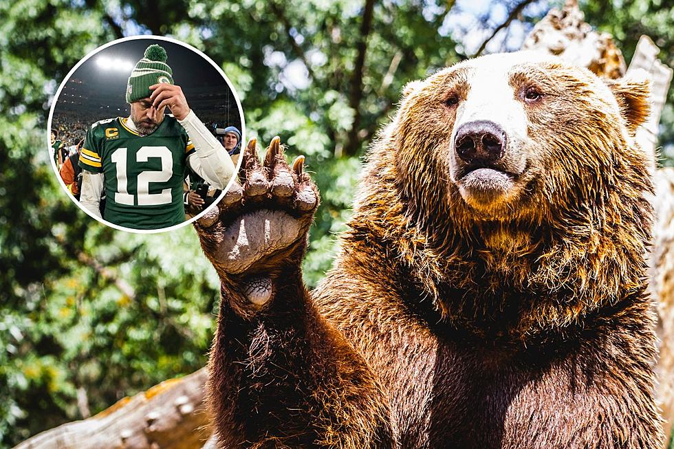 Chicago Bears Win the Internet With Best Reaction To Aaron Rodgers Trade