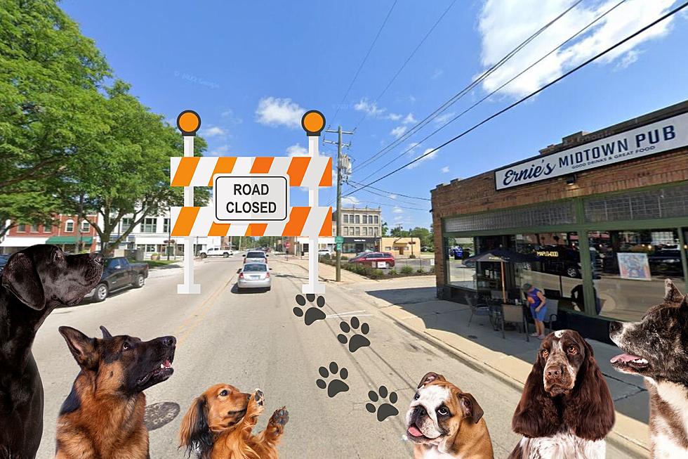 Midtown Rockford Streets Will Close for Dog Walk on Thursday