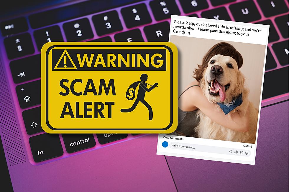 Be Warned, Heart-Wrenching Posts On Social Media Could Be Scams