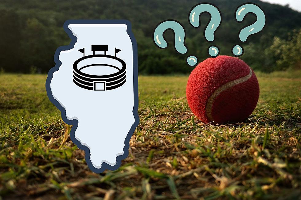 What Illinois Town Just Proposed a 24,000 Seat Cricket Stadium?