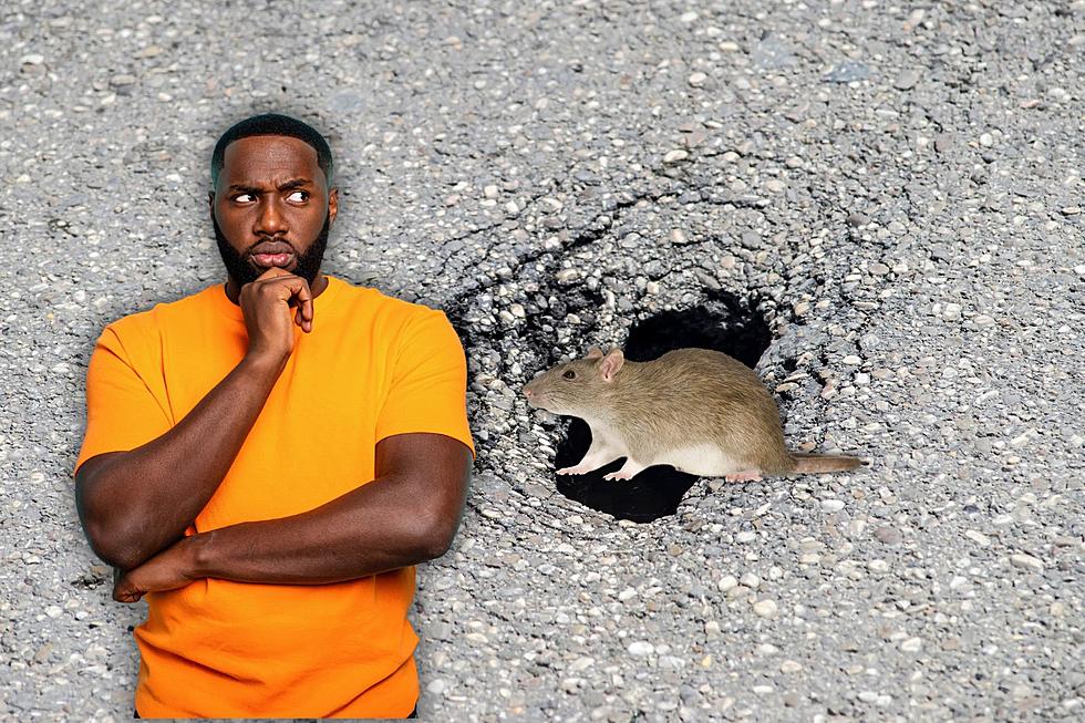 Check Out Chicago's Famous 'Rat Hole'