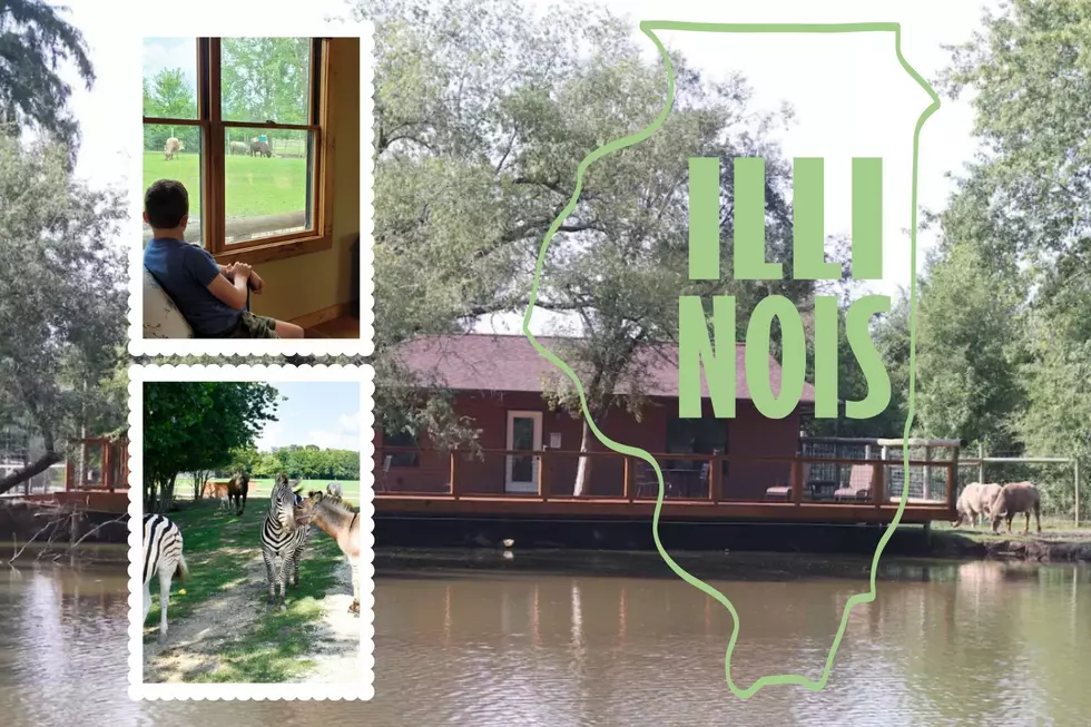 The Ultimate Wildlife Experience Awaits at This Unique Airbnb in Illinois