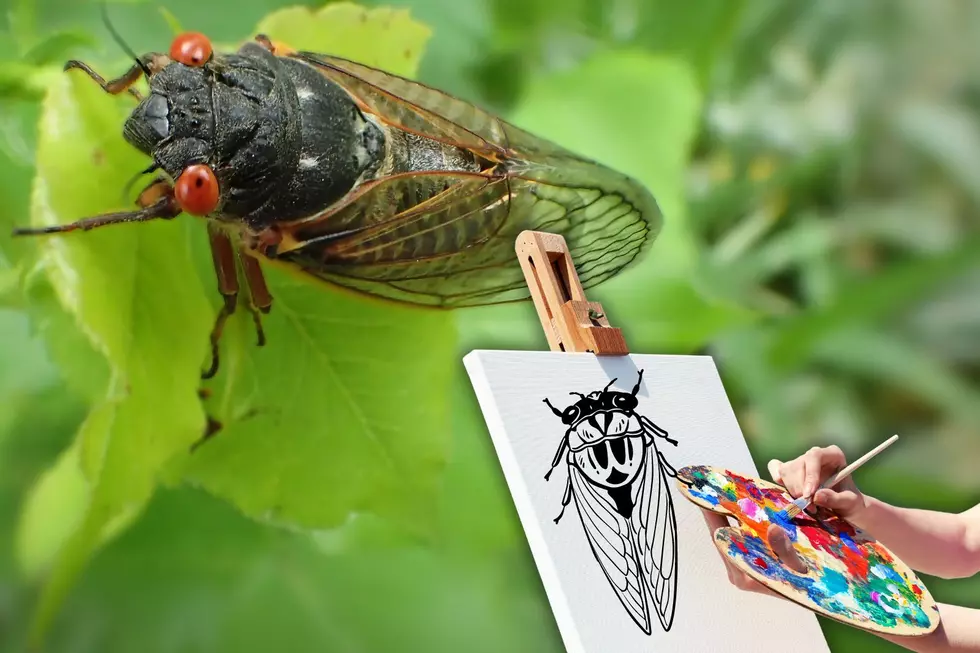 Illinois Is Embracing Cicada Madness With One Unique Art Show
