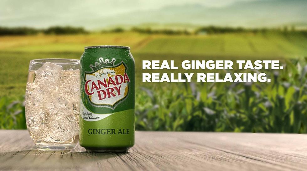 Woman Sues Because Ginger Ale Has No Ginger