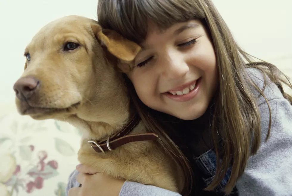 Five Ways Having Pets Improves Your Life