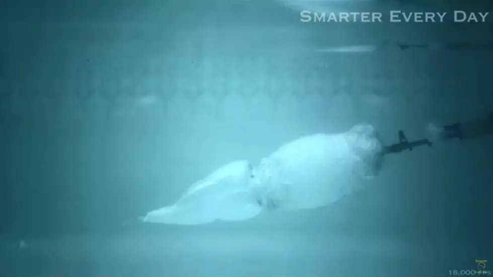 Underwater AK (Video)
