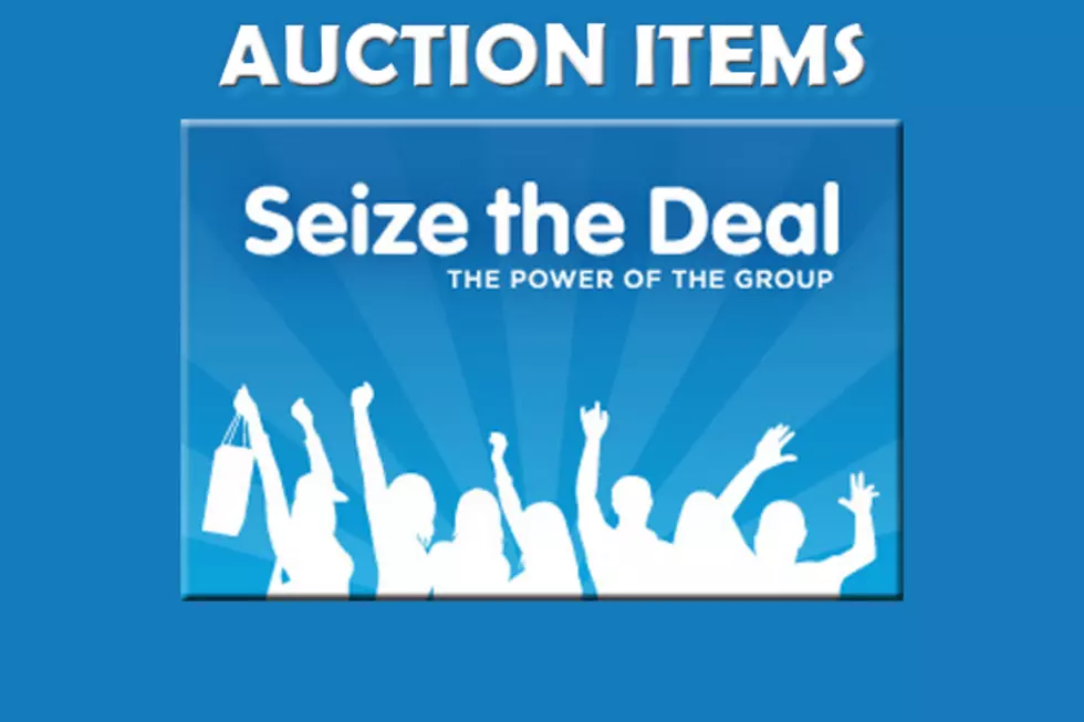 2017 Seize the Deal Online Auction&#8230;Bid Now!