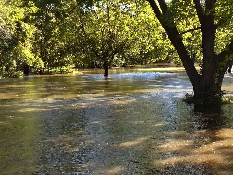 Flood Warning Issued For Cedar River At Cedar Falls