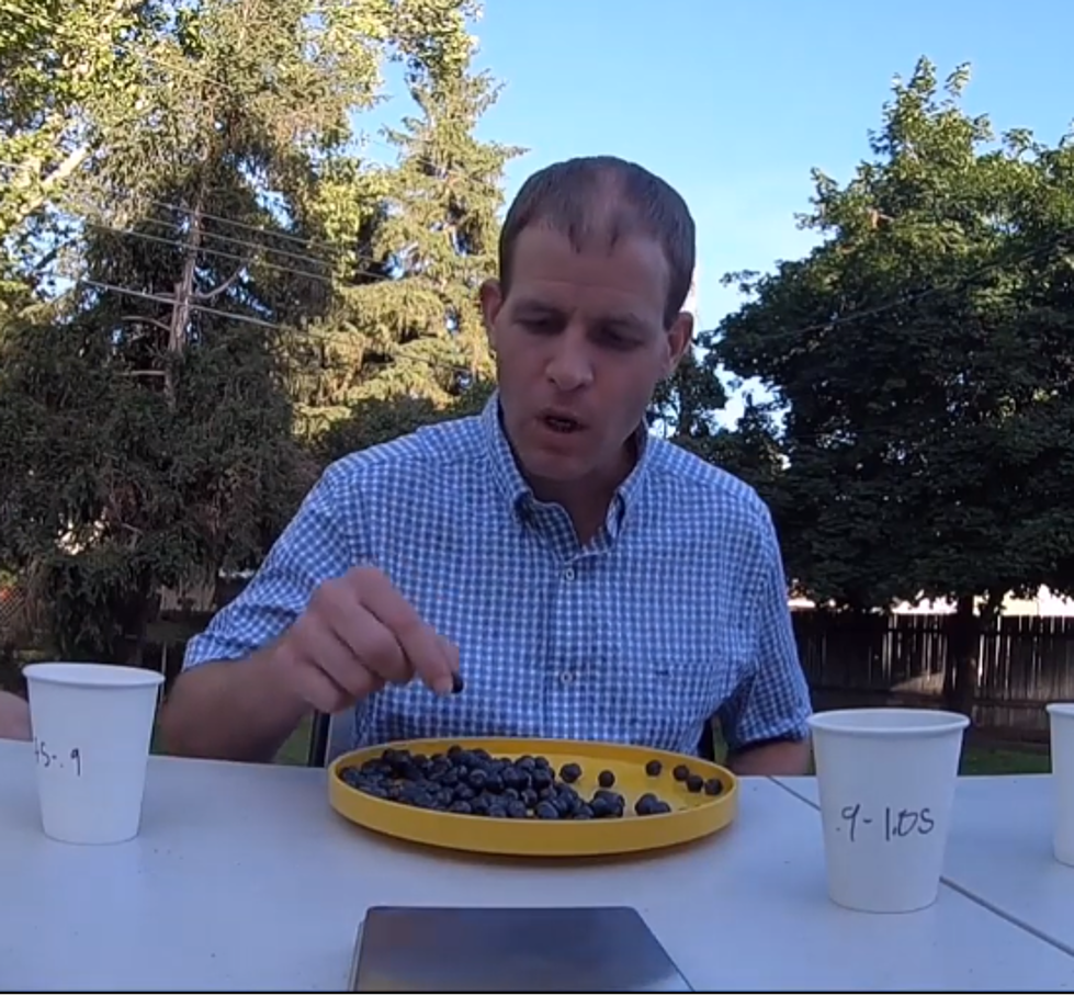 Record for Most Blueberries Stuffed in Mouth