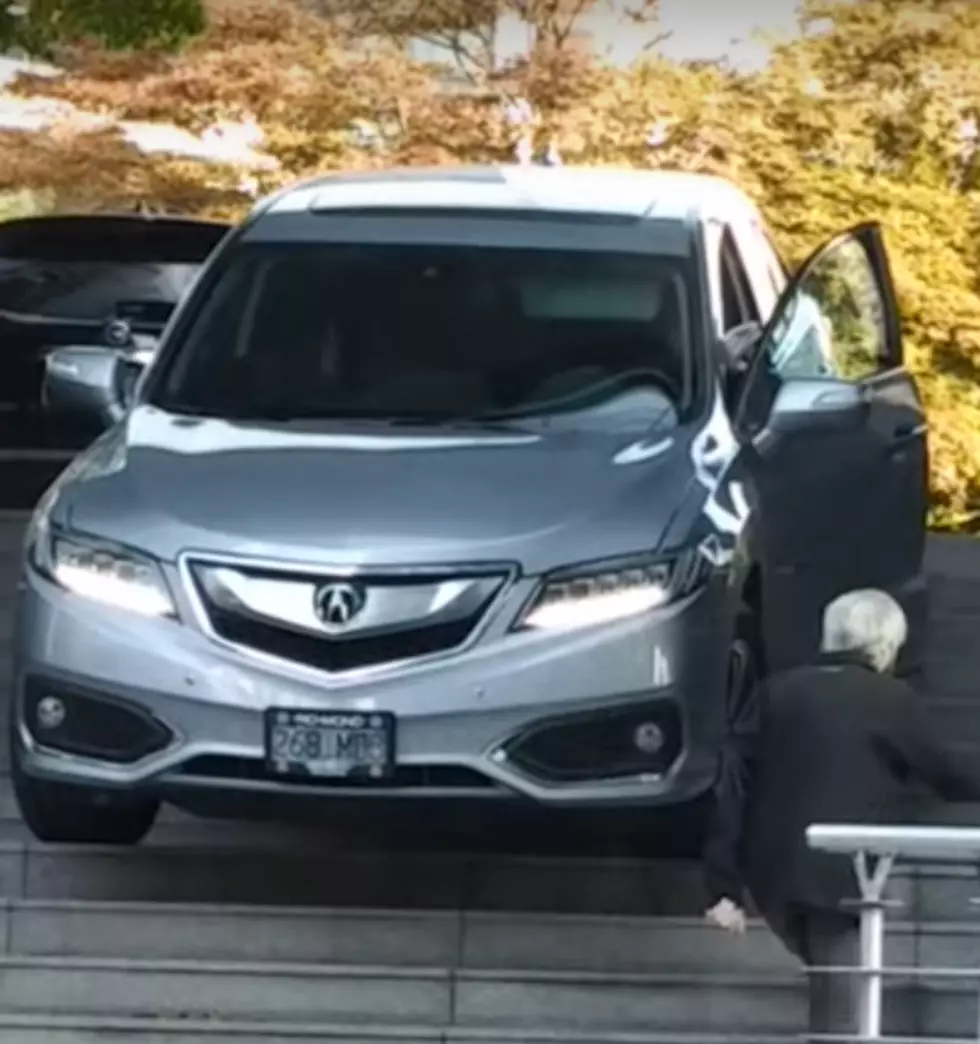 Woman Drives Car Down Concrete Steps [VIDEO]
