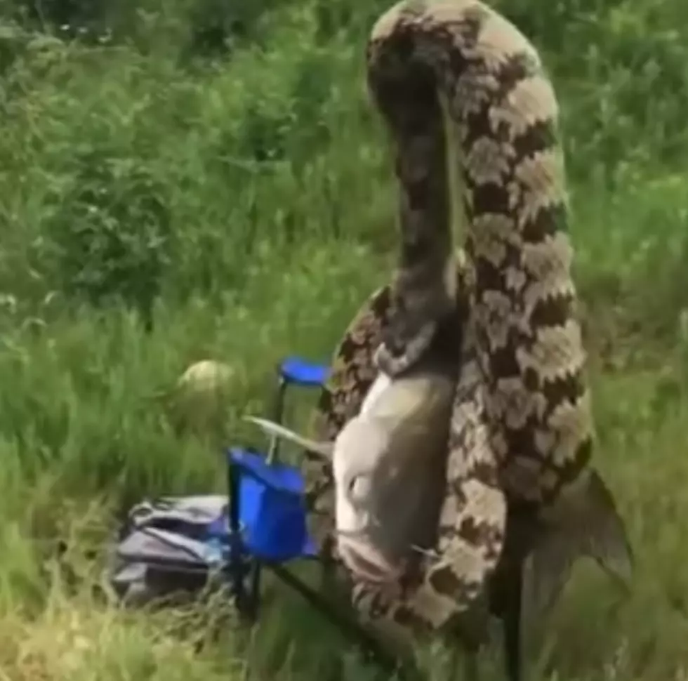 Man Reels In A Fish With a Snake Latched onto It